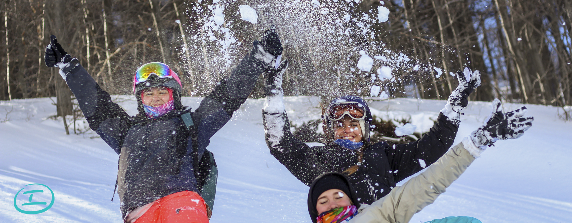 Banner principal intravel